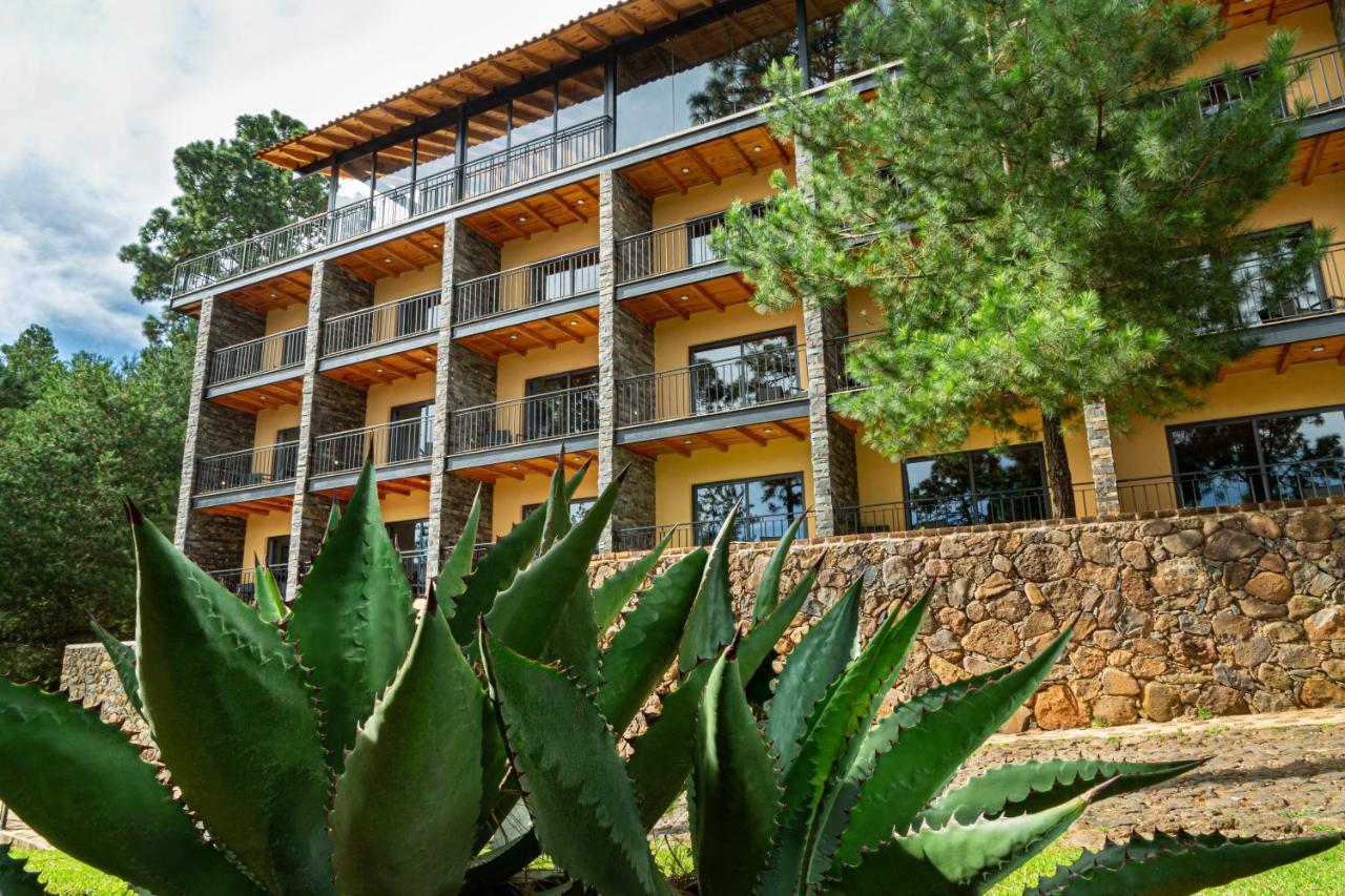 Bosque Escondido Hotel มาซามิตลา ภายนอก รูปภาพ