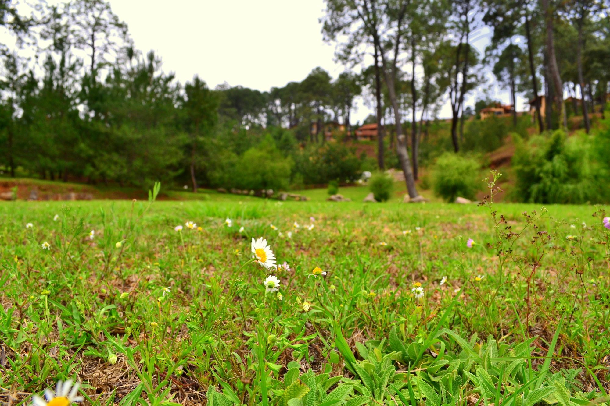Bosque Escondido Hotel มาซามิตลา ภายนอก รูปภาพ